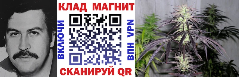 Купить закладку Тобольск Гашиш Бошки Шишки Меф