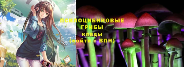 бошки Алексин