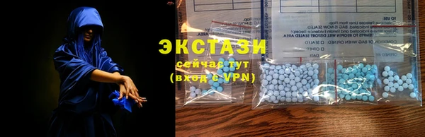 шишки Гусь-Хрустальный