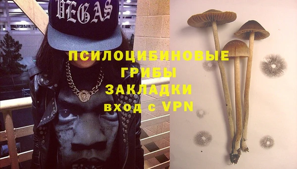 бошки Алексин