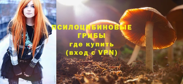 бошки Алексин