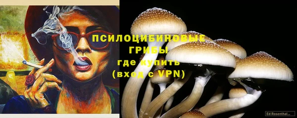 эйфоретик Алзамай