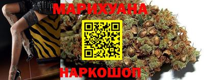 Альфа ПВП Малгобек
