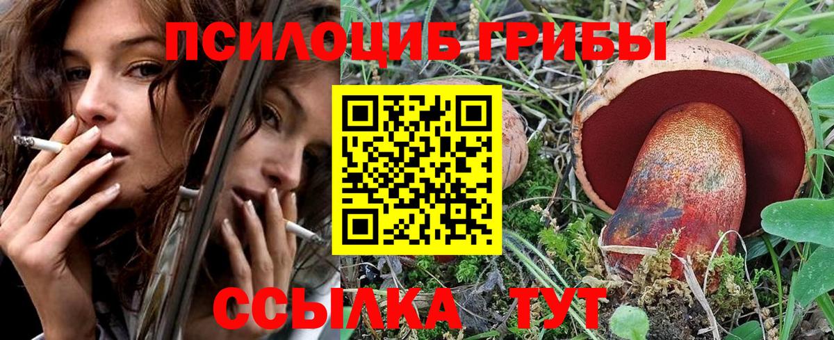 Тобольск  Псилоцибиновые грибы Psilocybe  Вход с VPN 